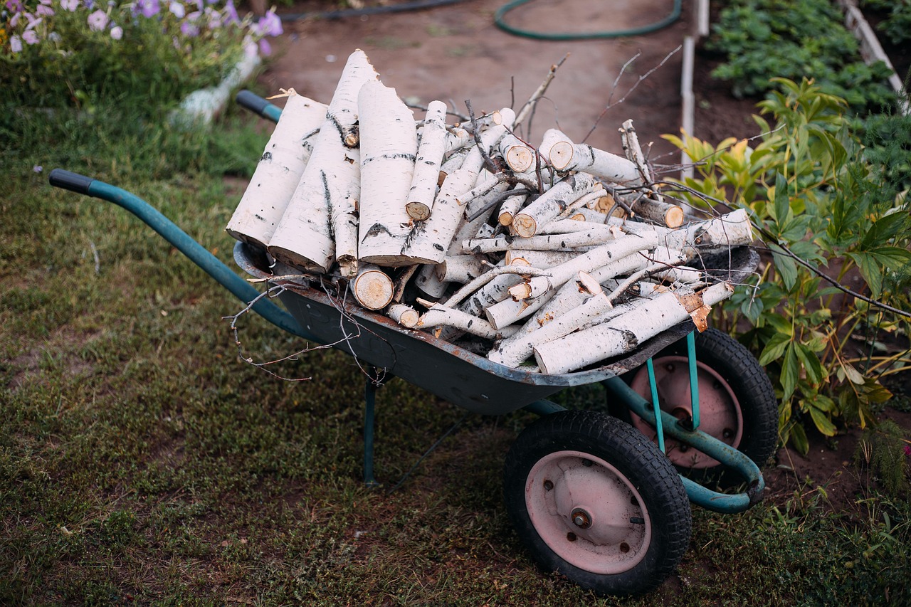 Sacramento Yard Waste Removal: Best Ways to Clear Your Property